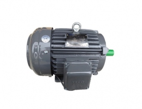 東元?jiǎng)x車電機(jī)（原裝）